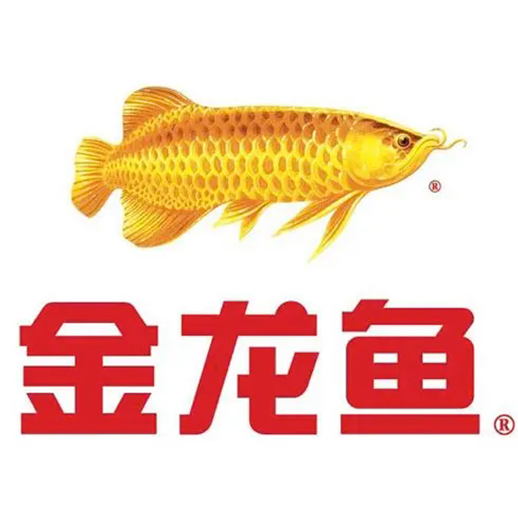 金龙鱼